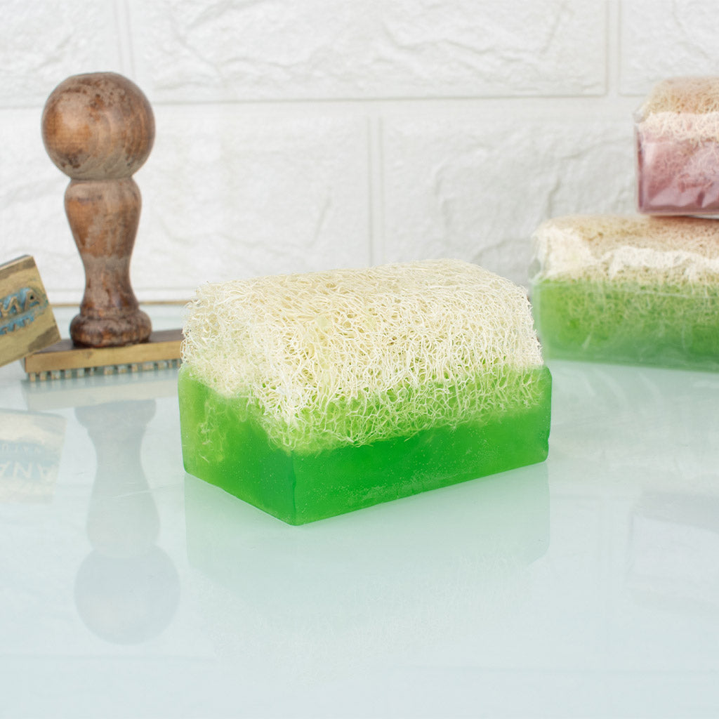 Aloe Vera Seife with Luffa Schwamm - Anadoa