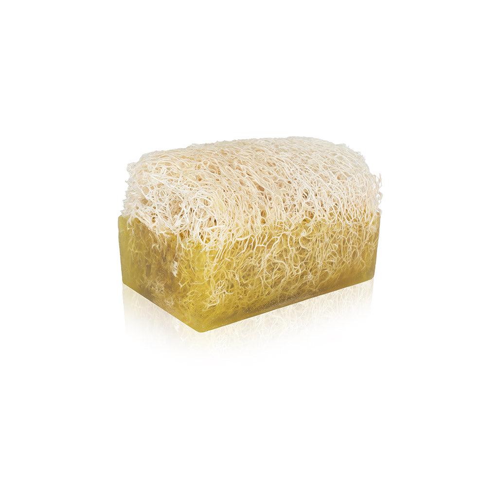 Luffa Argan Naturseife - Anadoa