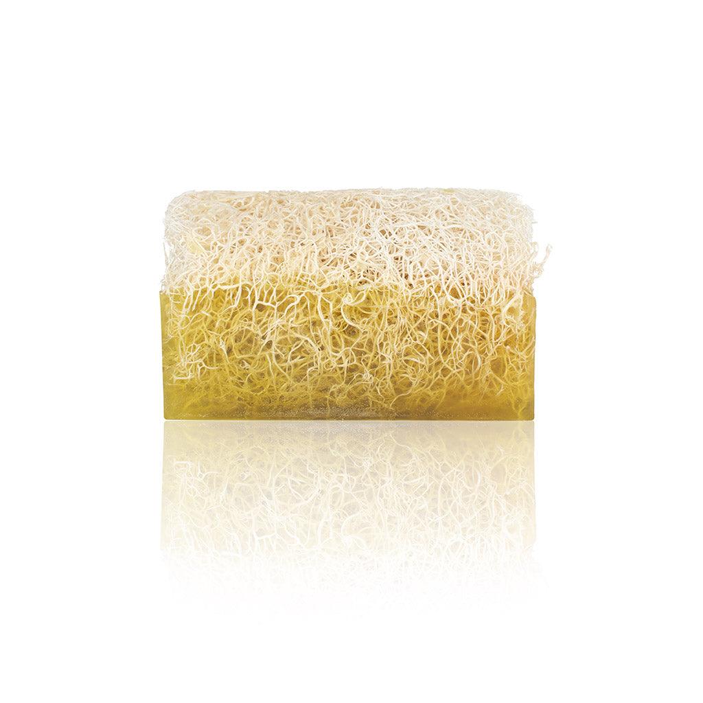 Luffa Argan Naturseife - Anadoa