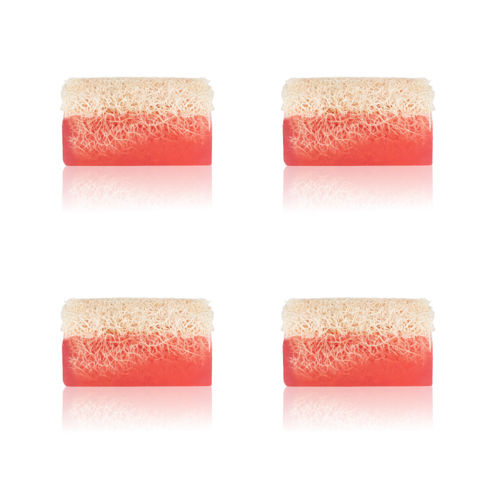 Set mit 4 Luffa Rosen Seife - Anadoa