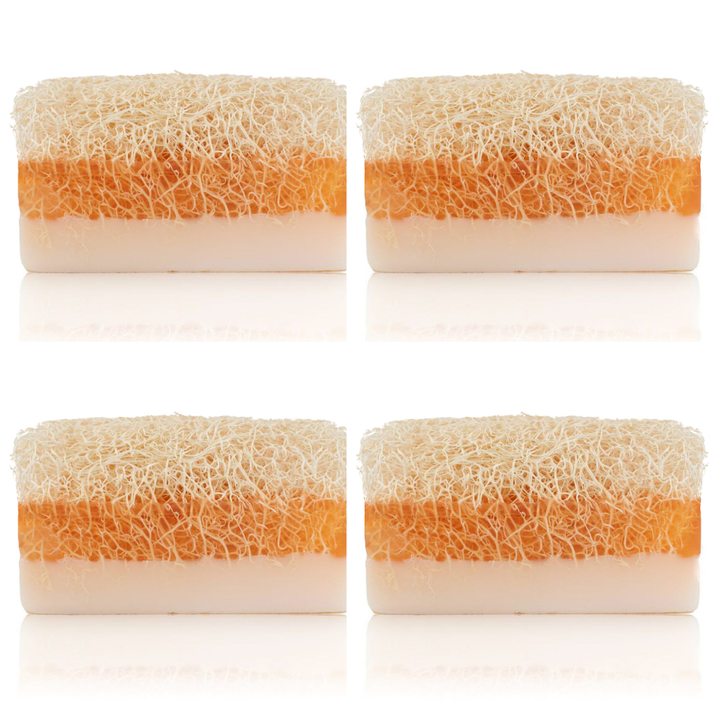 Set mit 4 Luffa Eselsmilch & Honig Seife - Anadoa