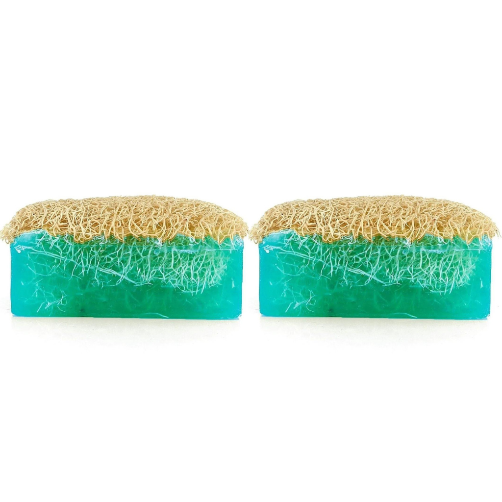 Set mit 2 Luffa Ozean Naturseife - Anadoa